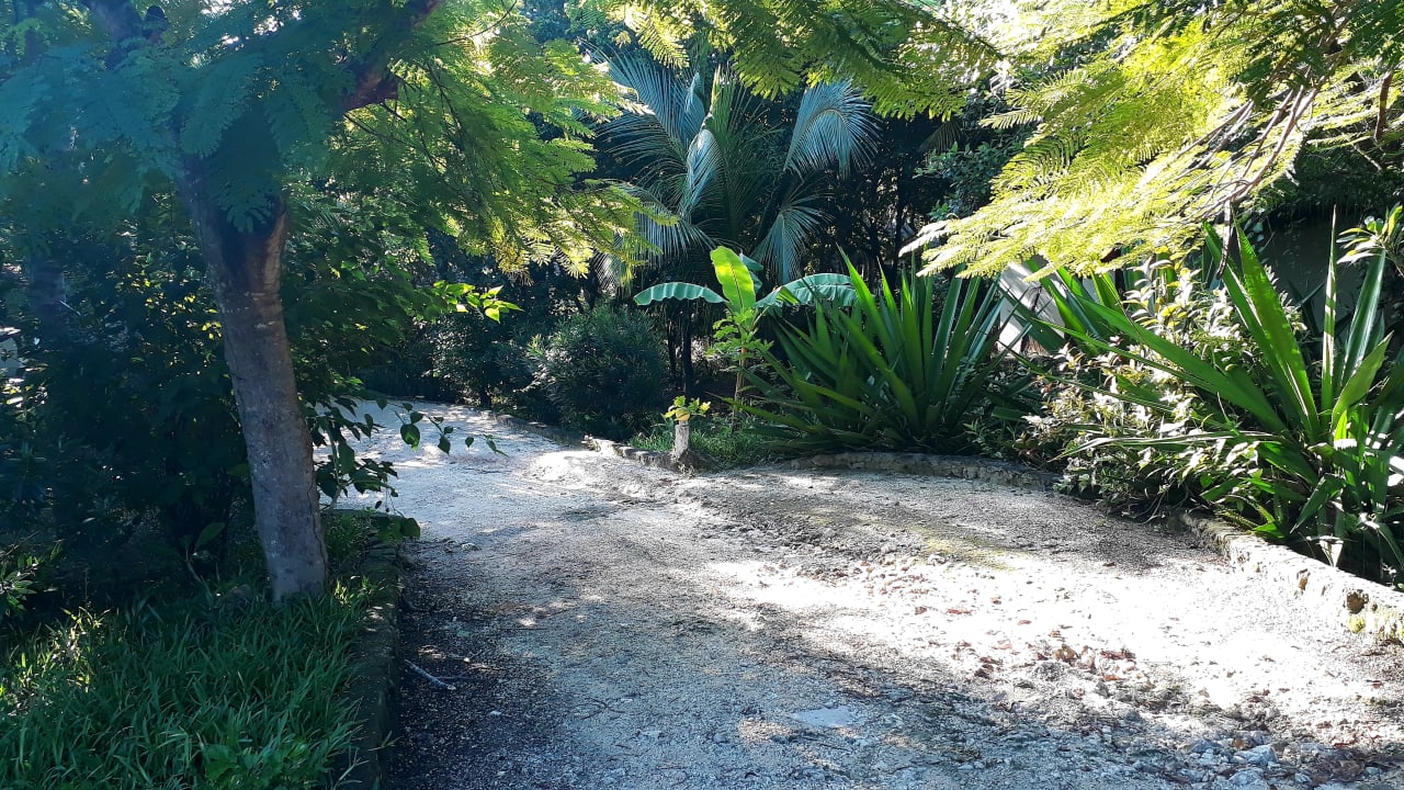 Gartenanlage Spice Island Hotel & Resort