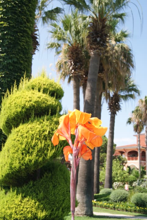 Gartenanlage Megasaray Club Belek