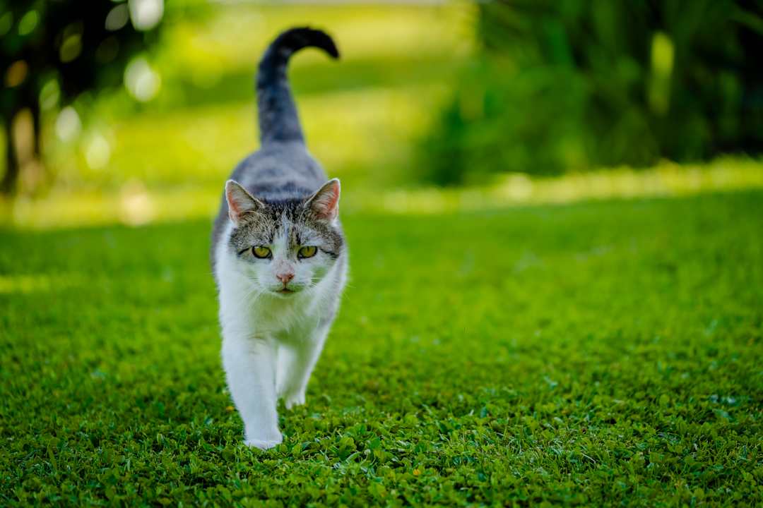 Außenansicht Hotel Berghof Baumgartner