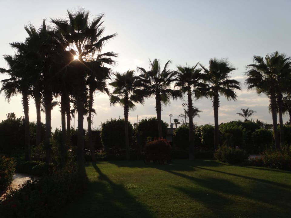 Abendsonne Hotel Miracle Resort