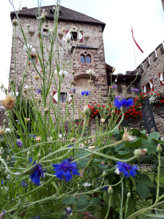Außenansicht Hotel Schloss Wehrburg