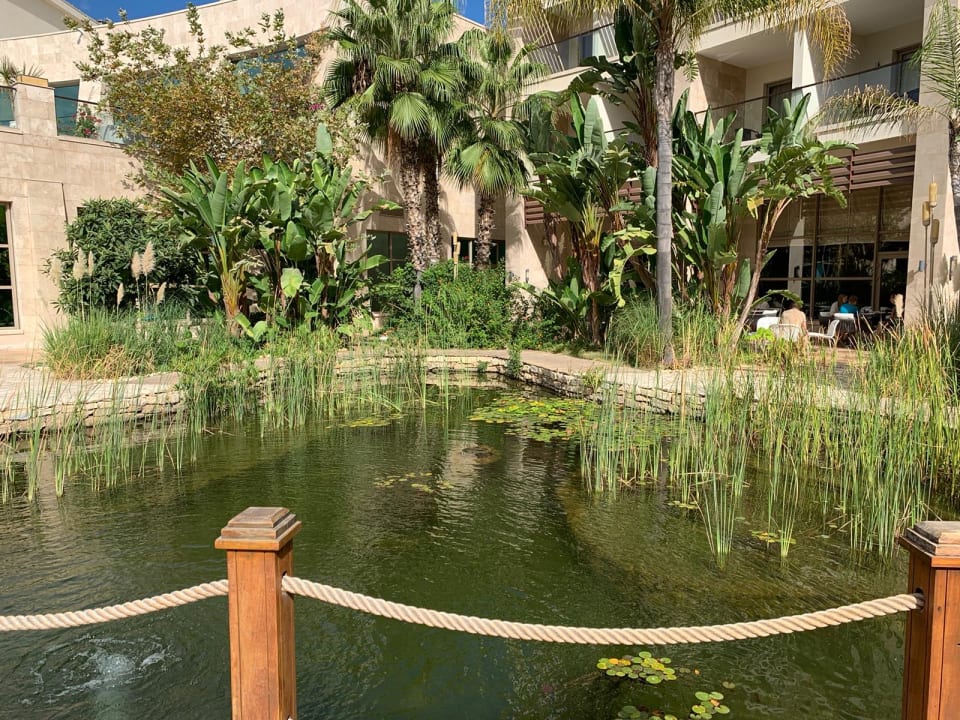 Gartenanlage Paloma Pasha