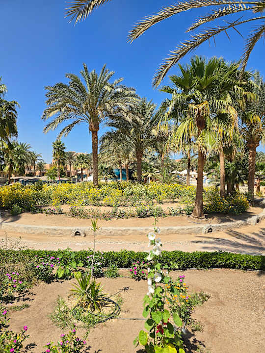 Außenansicht Club Paradisio El Gouna, Red Sea