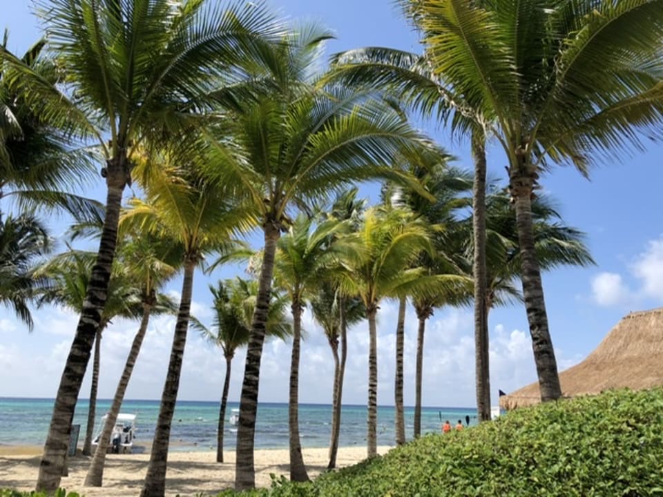 Strand Sandos Caracol Eco Resort & Spa Select Club Adults only - All Inclusive
