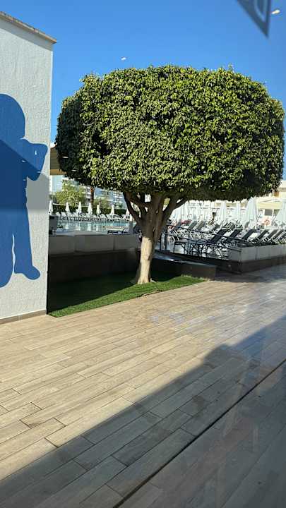 Ausblick BQ Delfin Azul Hotel