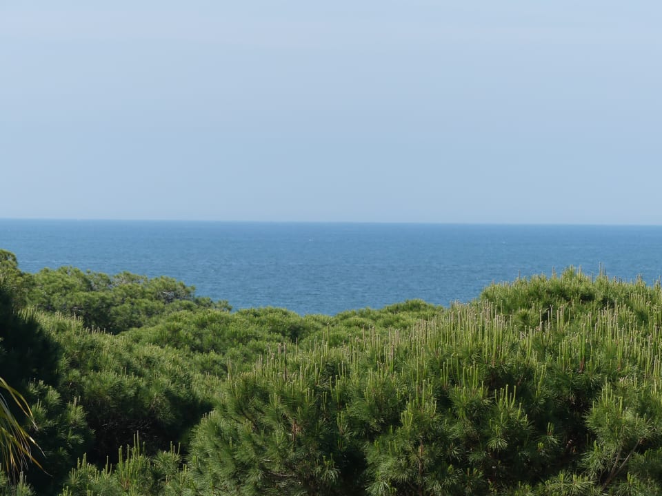 Ausblick TUI BLUE Isla Cristina Palace