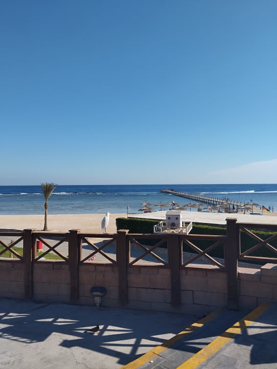 Ausblick Novotel Marsa Alam Beach Resort