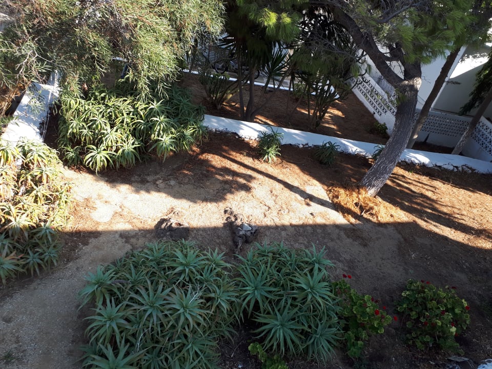 Gartenanlage Aphrodite Beach Resort Hotel
