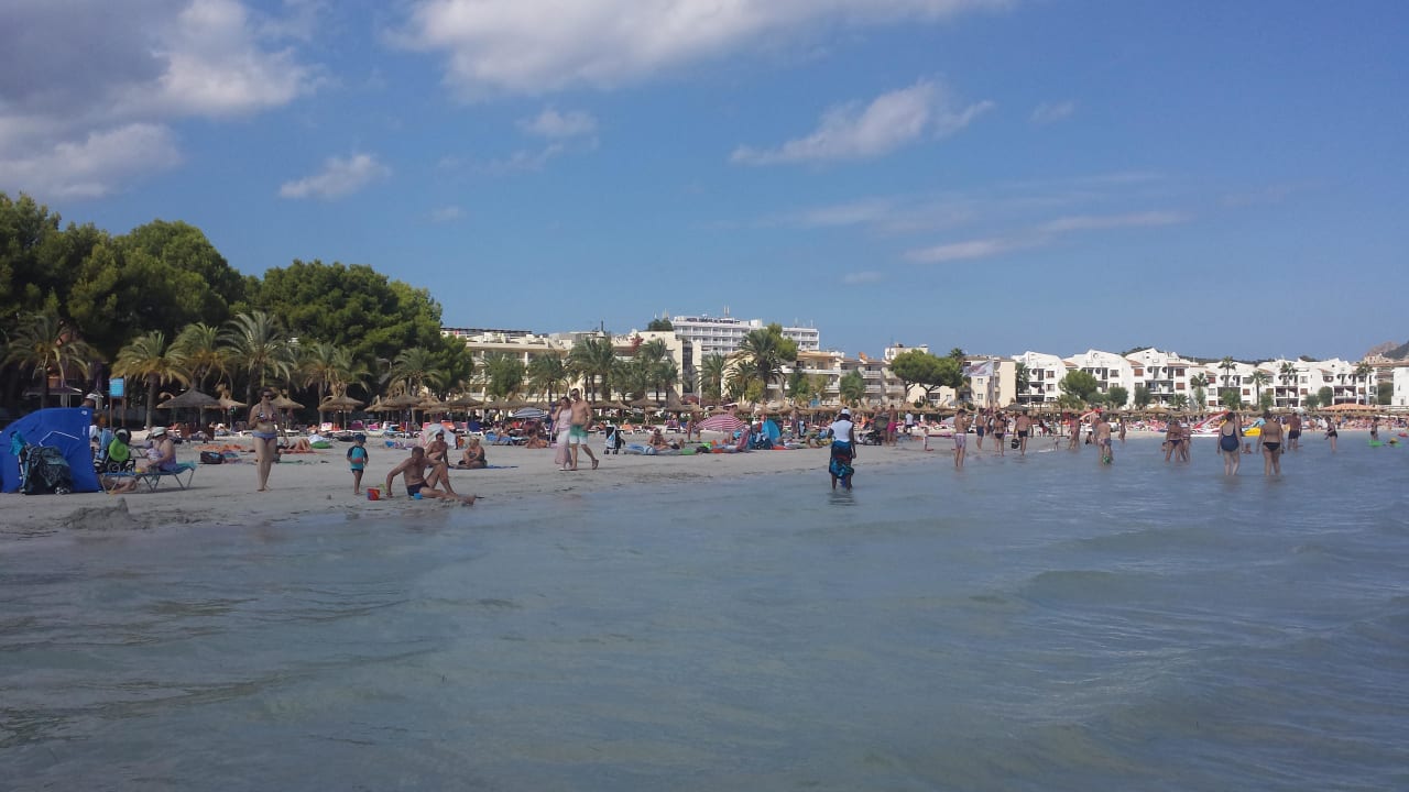  Blick vom Wasser auf die Promenade Alcudia Garden Aparthotel