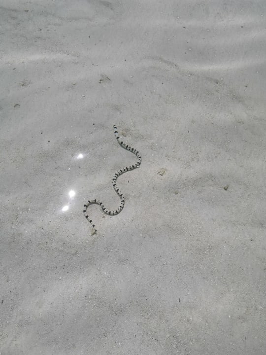 Strand Adaaran Select Hudhuran Fushi - Premium All Inclusive