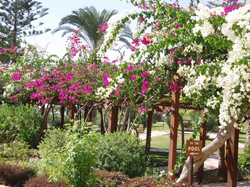 Garten Hotel Nissi Beach Resort