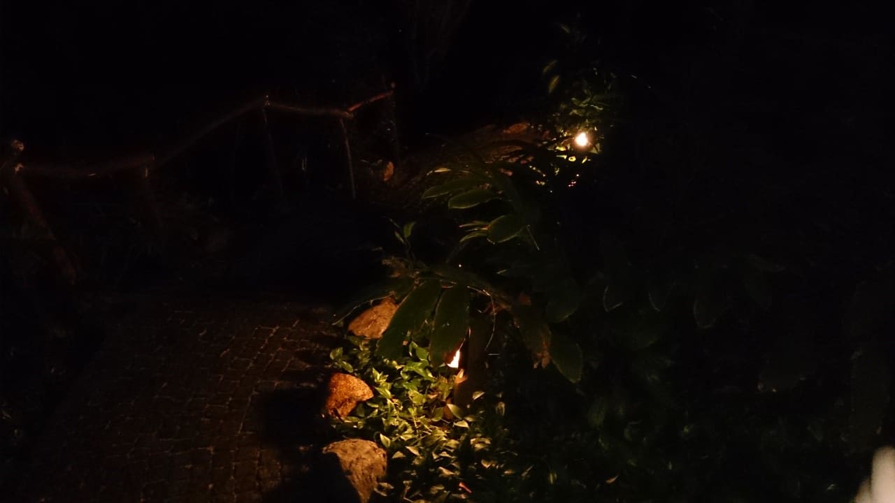 Regenwald bei Nacht Tropical Islands Resort