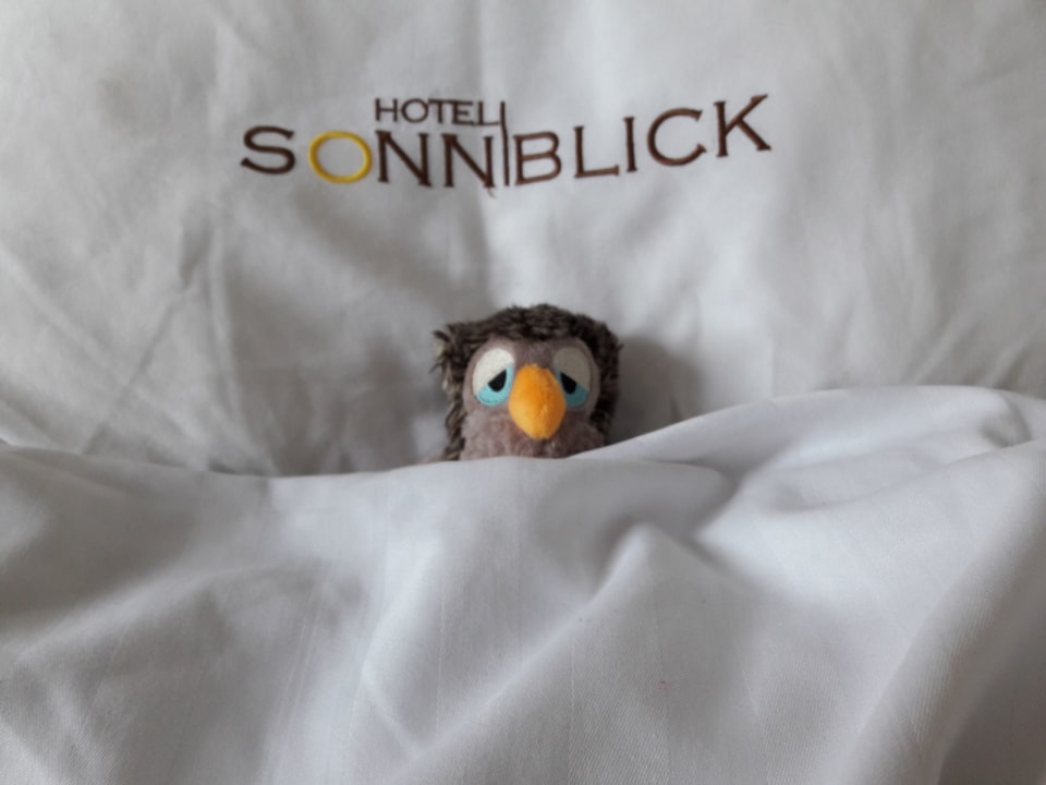 Zimmer Hotel Sonnblick