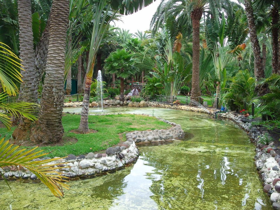 Gartenanlage Hotel Riu Palace Oasis