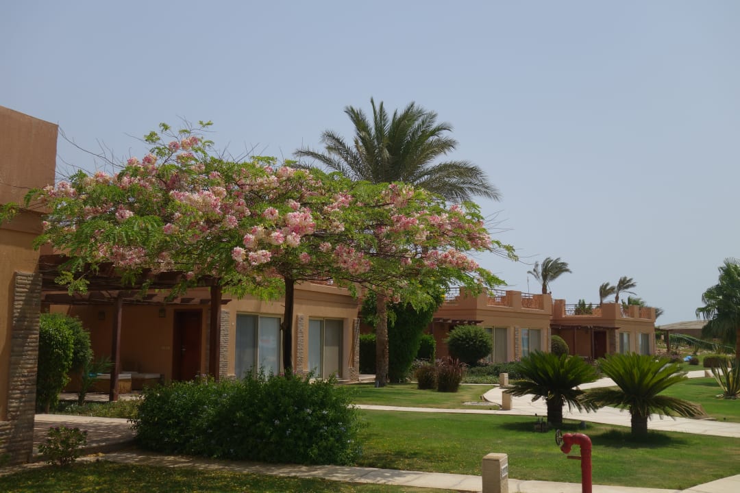 Gartenanlage Shams Prestige Abu Soma-Adults Only