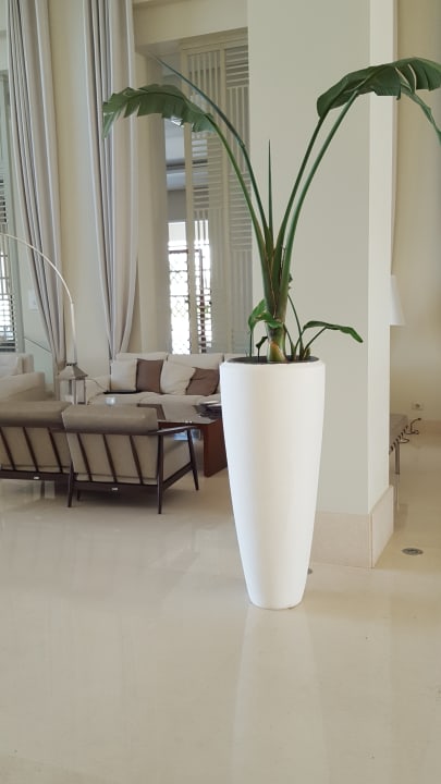 Lobby Jaz Aquaviva