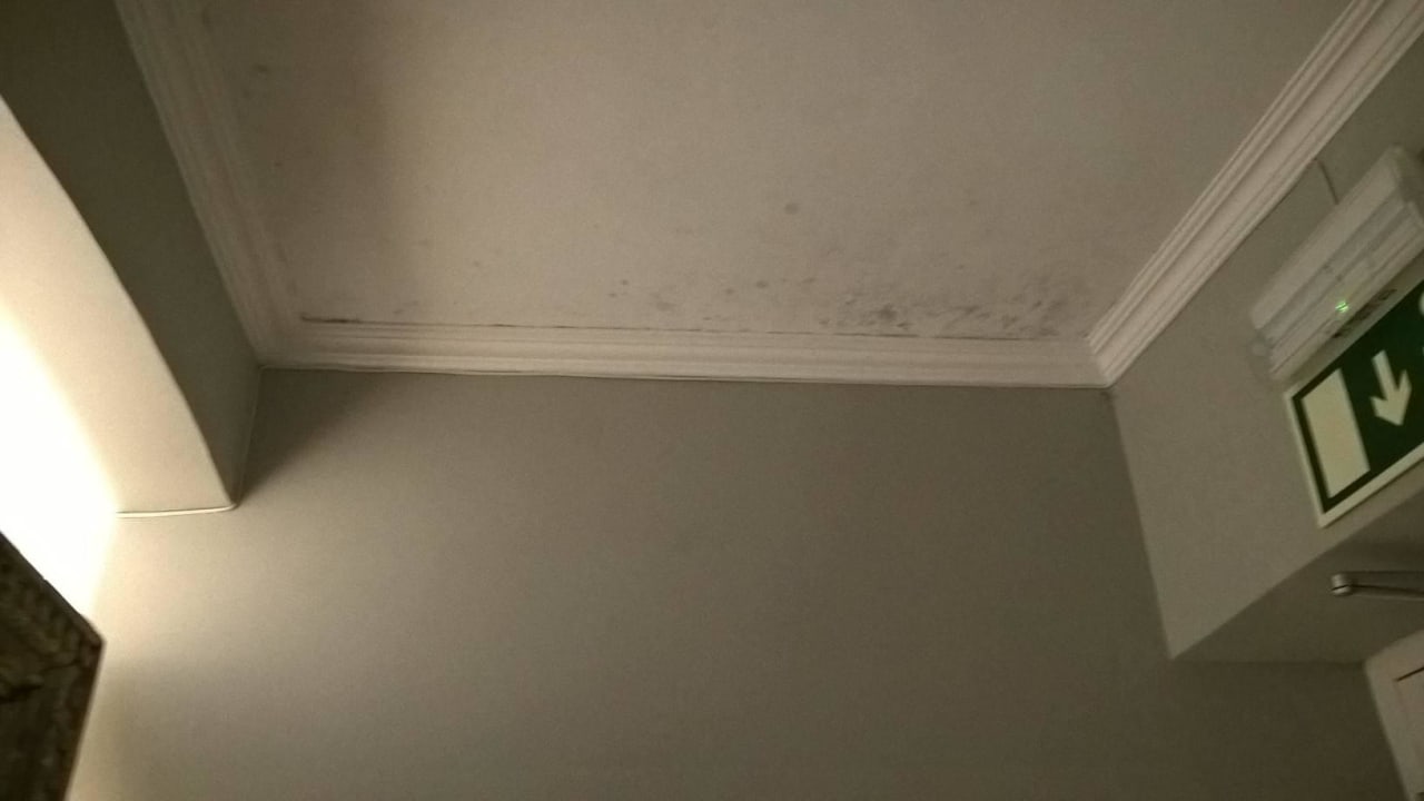 Verschimmelte Decke Quinta de Sao Tadeu by Casa das Campainhas