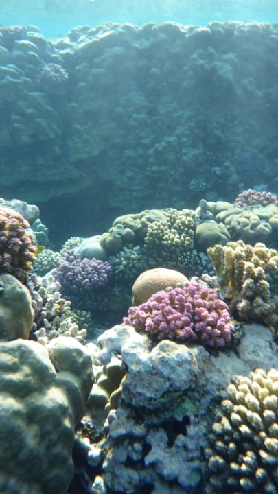 Sport & Freizeit Rohanou Beach Resort