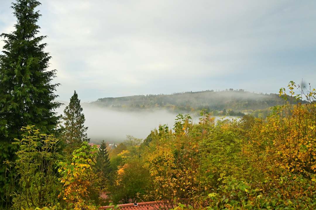 Ausblick Feriendorf am Hundsrück