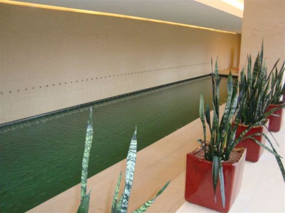 Sportbecken Das Sonnreich Thermenhotel Loipersdorf