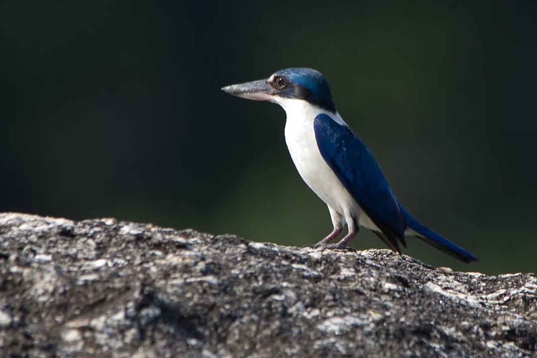 Hotel Berjaya Langkawi Beach & Spa Resort Berjaya Langkawi Resort