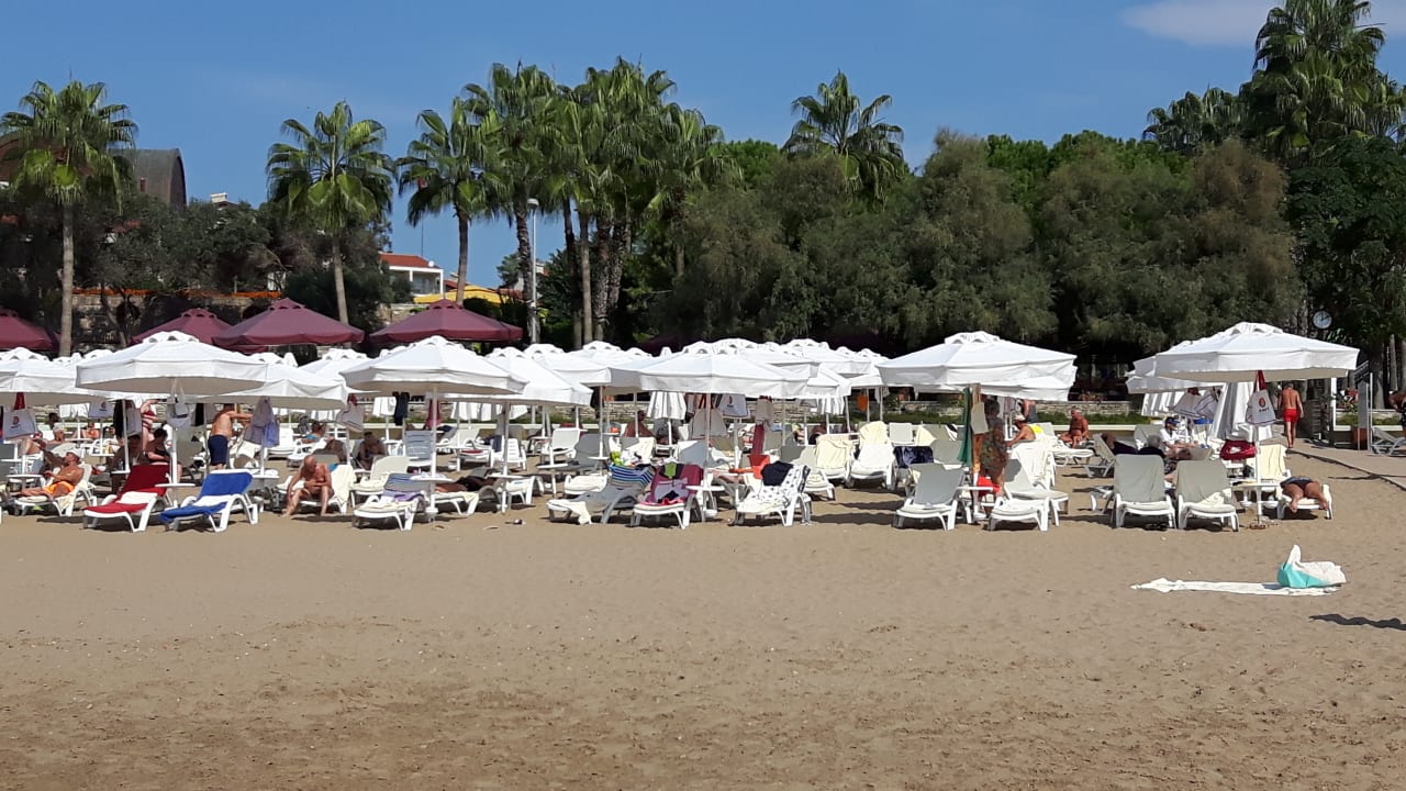 Strand Arum Barut Collection