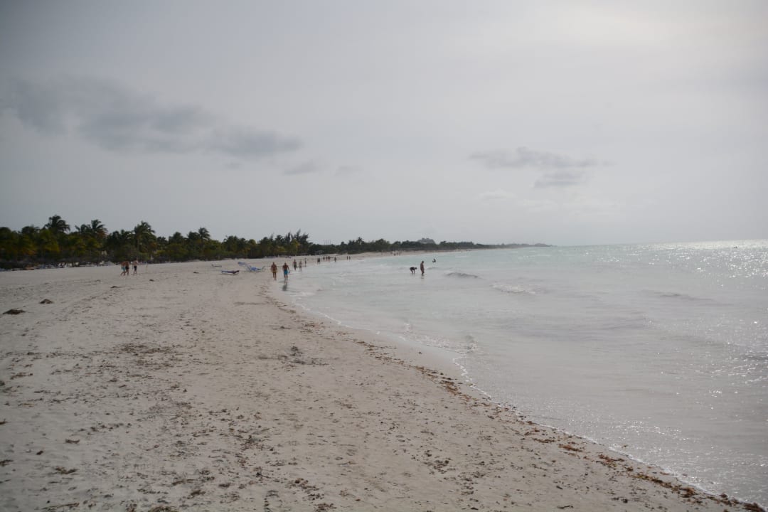 Voller wirds nicht Paradisus Varadero Resort & Spa