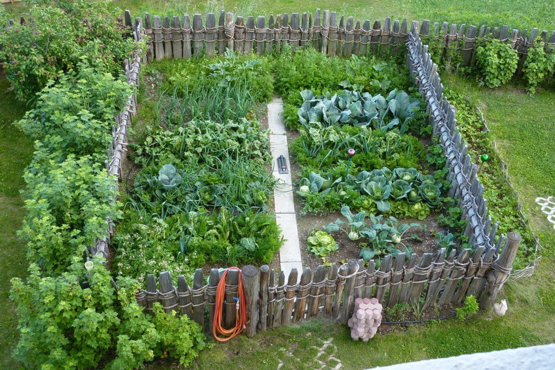 Gemüsegarten Weidacherhof