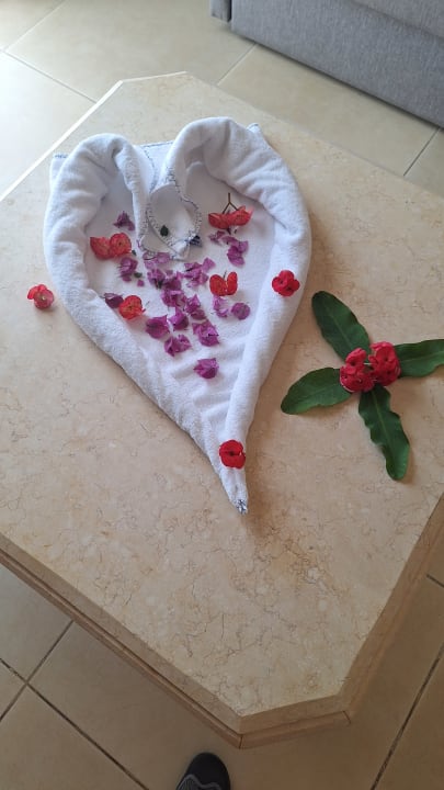 Zimmer Pickalbatros Citadel Resort