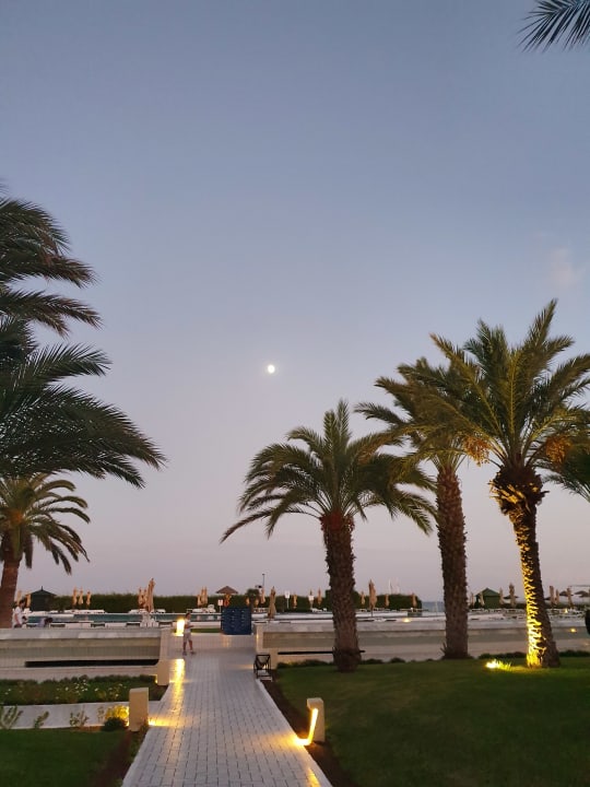 Gartenanlage Iberostar Waves Averroes