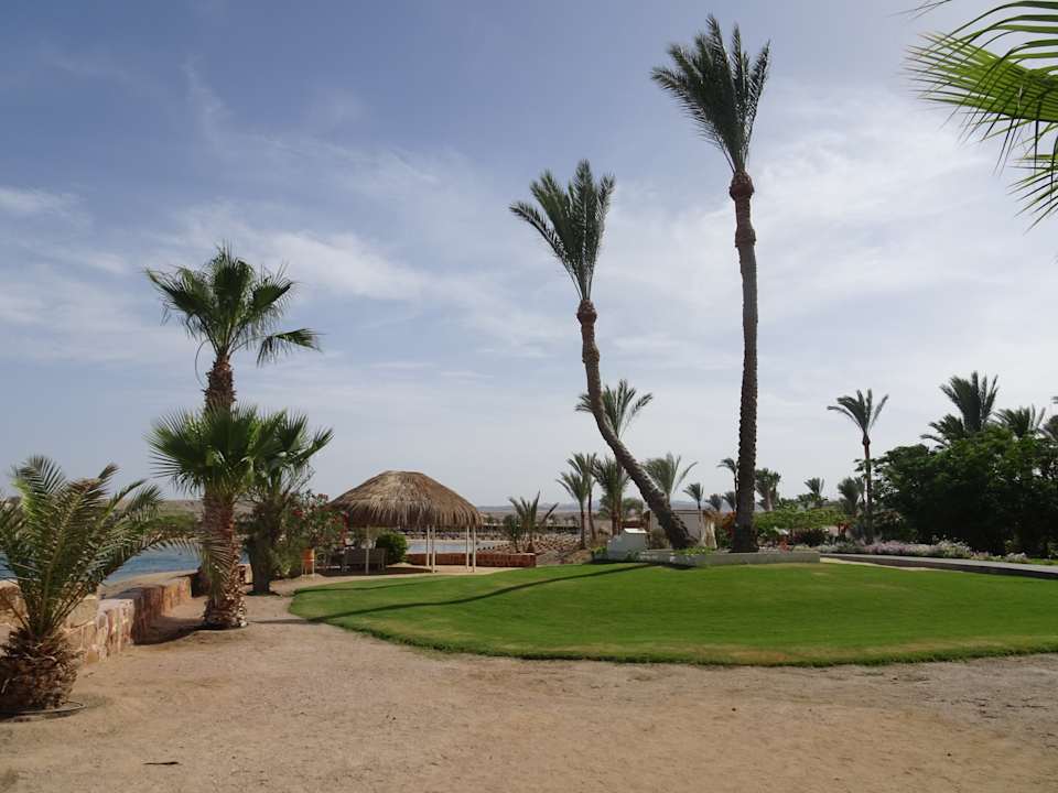 Außenansicht Steigenberger Coraya Beach - Adults only