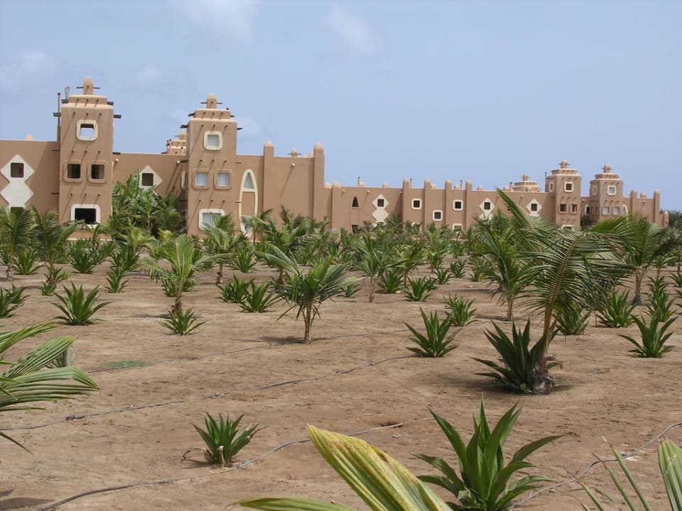 Gartenanlage Hotel Riu Funana