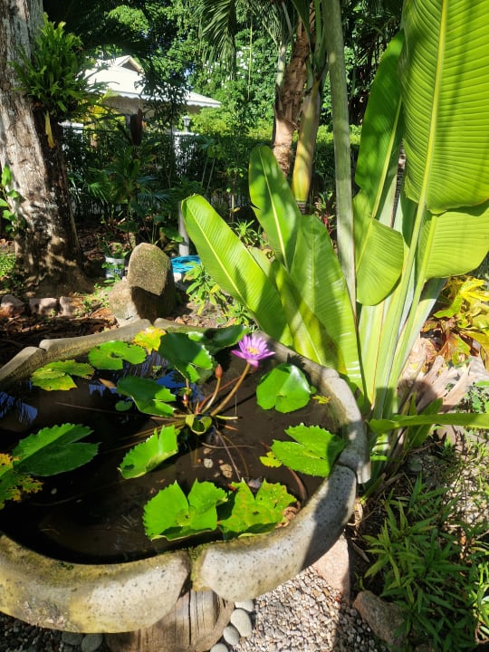 Gartenanlage Guesthouse Cabanes des Anges