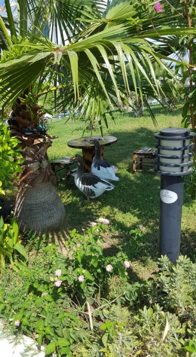 Gartenanlage Roma Beach Resort & Spa 16+ Adult Only