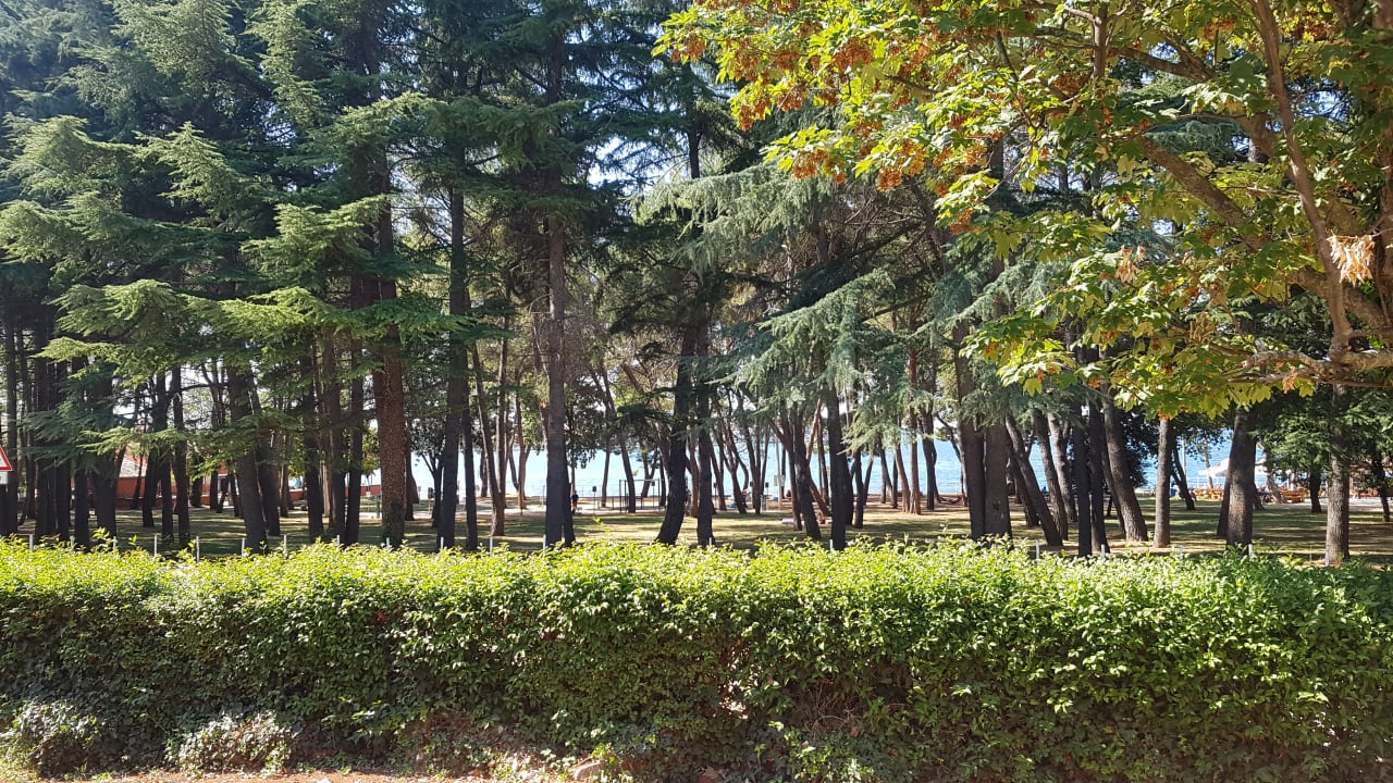 Gartenanlage Valamar Parentino Hotel