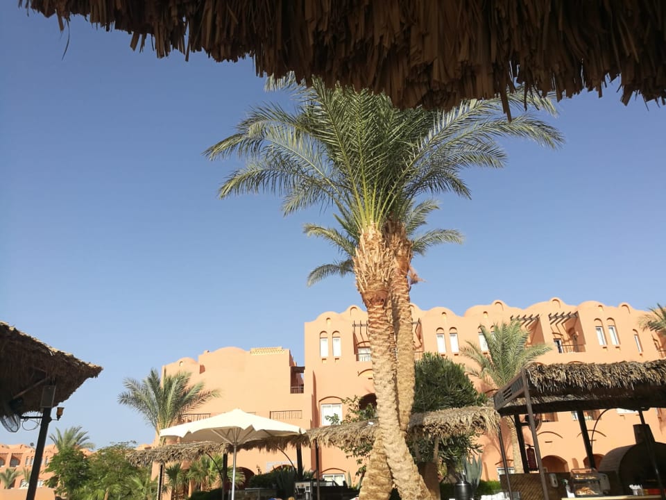 Einfach schön  Jaz Makadi Oasis Resort