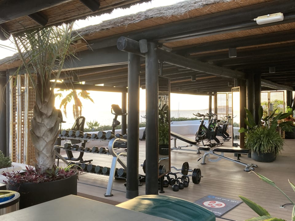 Sport & Freizeit Dreams Jardín Tropical