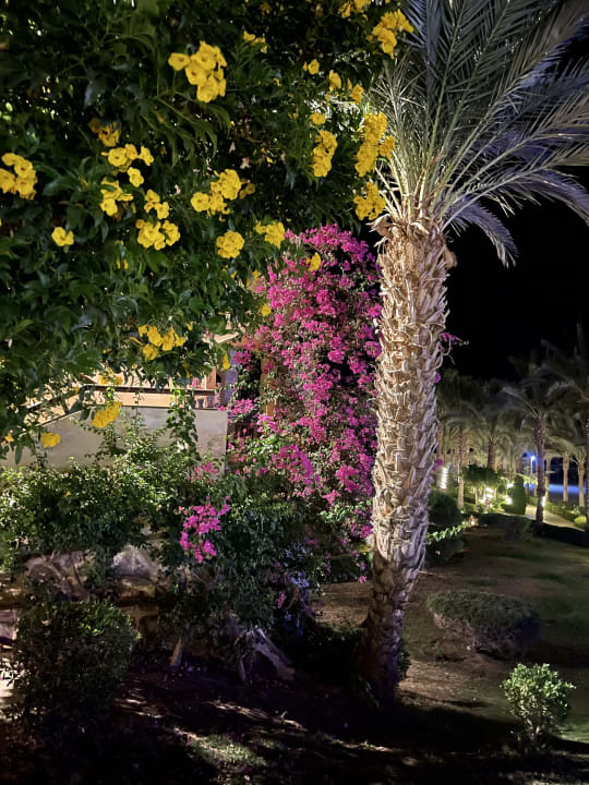 Gartenanlage Dream Lagoon Resort & Aqua Park