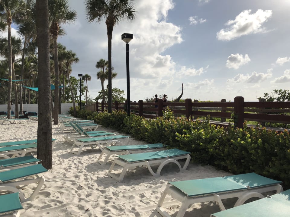 Gartenanlage Hotel Riu Plaza Miami Beach