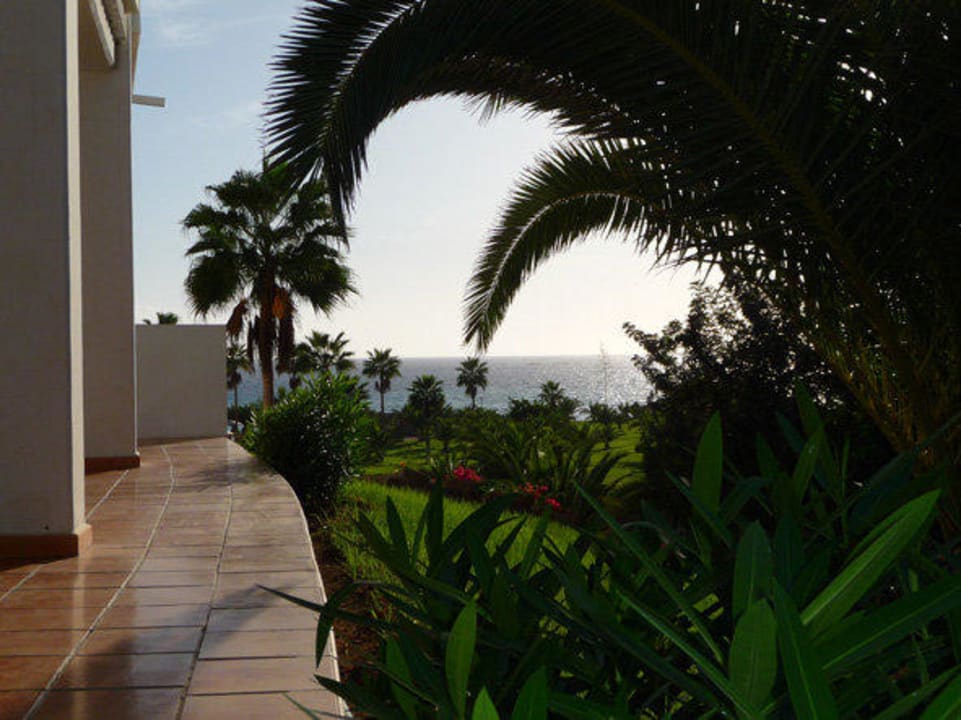 Ausblick vom Zimmer Hotel Riu Palace Tenerife