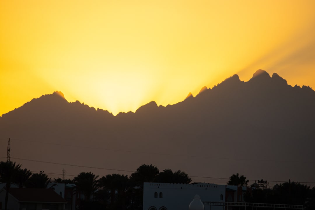 Ausblick Desert Rose