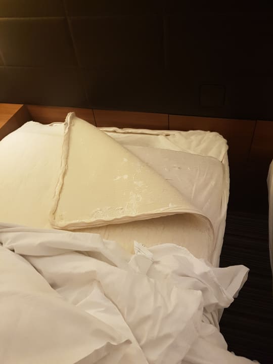 Zimmer Hilton Garden Inn Frankfurt Airport