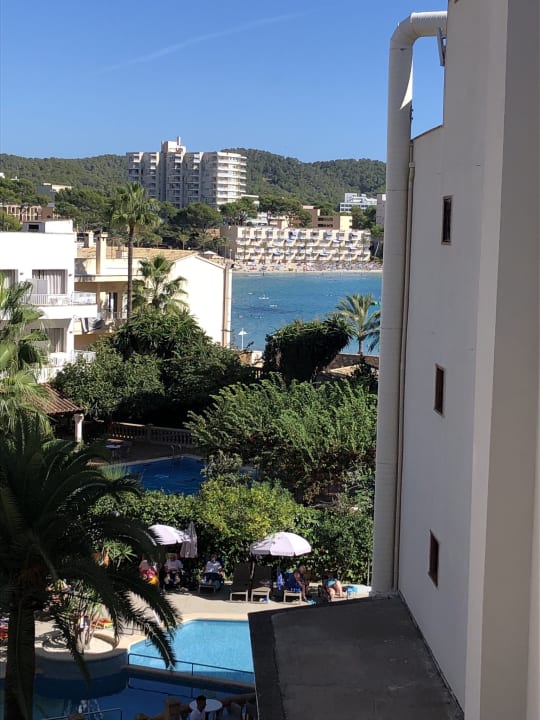 Ausblick FLOR los Almendros Hotel