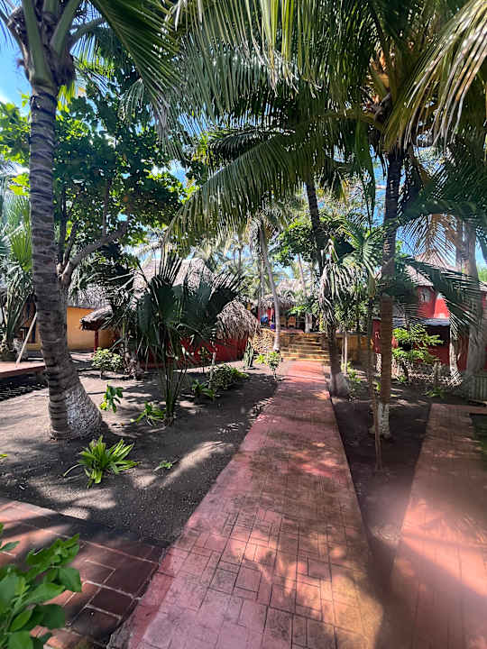 Gartenanlage Hotel Pez de Oro