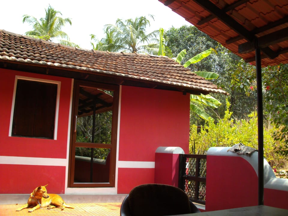 Gästezimmer/Terrasse ELDC Dreamcatcher House