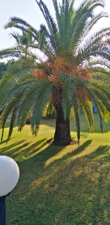 Gartenanlage Sunrise Resort Hotel