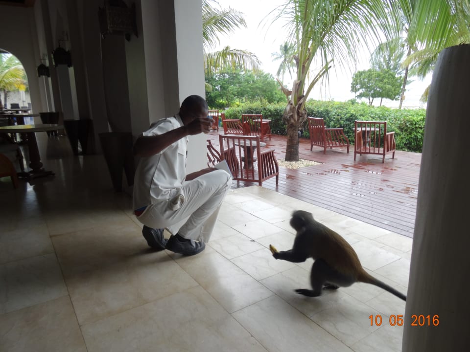 Gastro The Residence Zanzibar