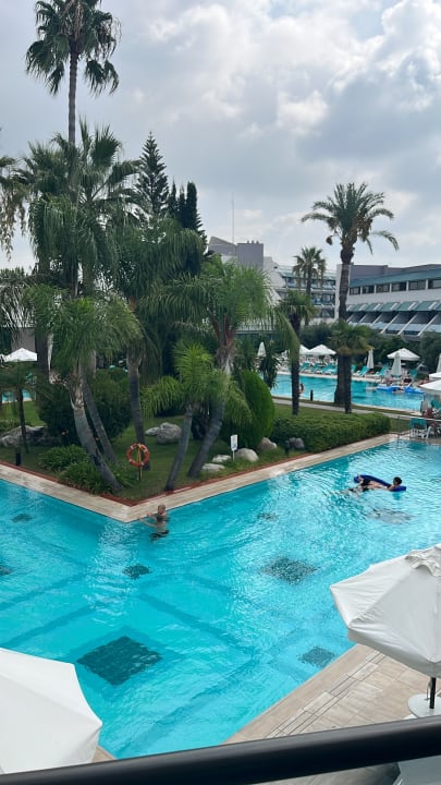 Pool Side Star Elegance