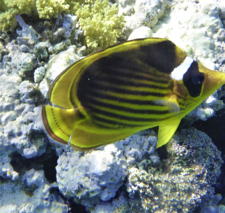 Sport & Freizeit Cleopatra Luxury Resort Makadi Bay