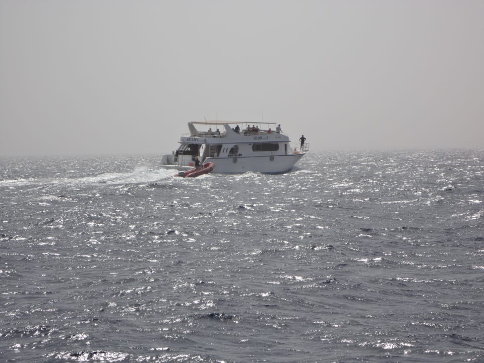 Tauchausfahrt Shams Alam Beach Resort